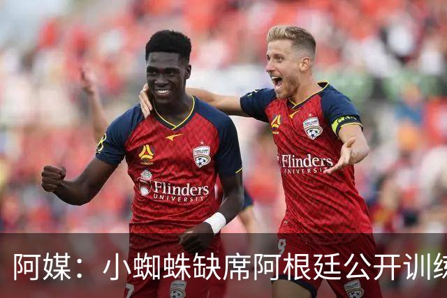阿媒：小蜘蛛缺席阿根廷公开训练，他可能在第二场友谊赛中出场